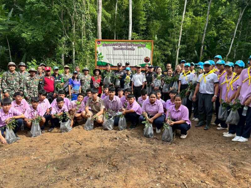 200 ชีวิต“บุกป่ากรมหลวงชุมพรฯ” ปลูกเสริมป่าต้นน้ำ-พลิกฟื้นความชุ่มชื้นแผ่นดิน