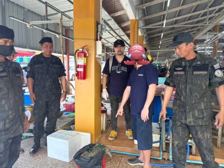 มุกดาหาร ชุดพญาเสือร่วมกับไซเตส จับซากสัตว์คาตลาดสด