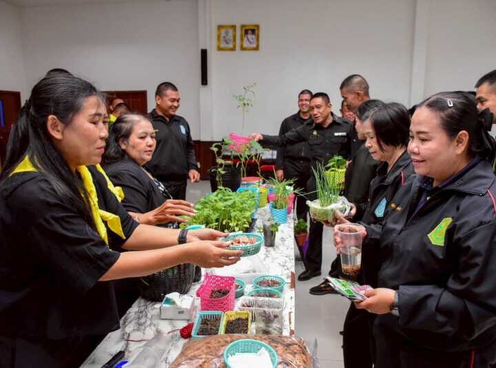 พิษณุโลก มทบ.39 : โครงการ “ตู้เย็นหลังบ้าน อาหารปลอดภัย” ส่งเสริมกำลังพลปลูกผักสวนครัวรับประทานเองในครัวเรือน