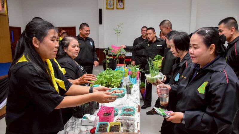 พิษณุโลก มทบ.39 : โครงการ “ตู้เย็นหลังบ้าน อาหารปลอดภัย” ส่งเสริมกำลังพลปลูกผักสวนครัวรับประทานเองในครัวเรือน