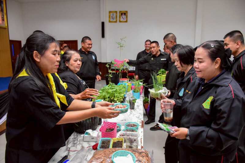 พิษณุโลก มทบ.39 : โครงการ “ตู้เย็นหลังบ้าน อาหารปลอดภัย” ส่งเสริมกำลังพลปลูกผักสวนครัวรับประทานเองในครัวเรือน