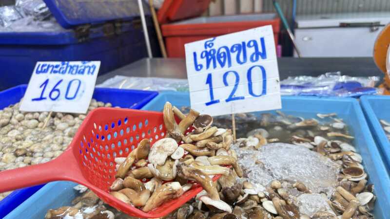 ปทุมธานี สี่มุมเมืองชวนช้อปของป่าหน้าฝน ชูวัตถุดิบพื้นบ้านใหญ่สุด