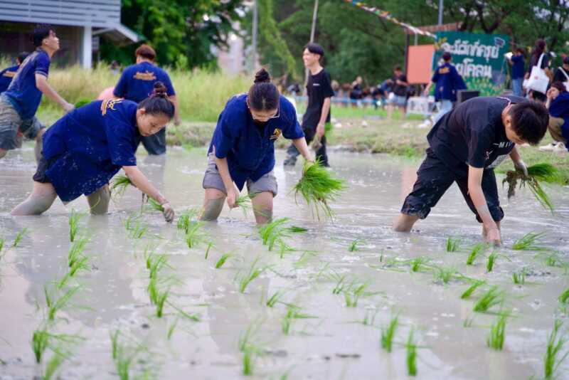 พิษณุโลก – รับน้องเกษตรนเรศวร “เปิดประสบการณ์ นาหรรษา NEXT GEN : วิ ถีไทย × เกษตรสมัยใหม่”