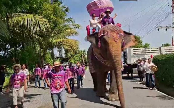 อ่างทอง – ฮือฮาขี่ช้างแห่นาค