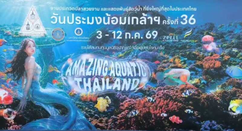 ปทุมธานี – ยิ่งใหญ่ที่สุดในประเทศ แถลงข่าวจัดงาน วันประมงน้อมเกล้าฯ ครั้งที่ 36 ยกทัพสัตว์น้ำสุดอลังการภายใต้ธีม Amazing Aquatic Thailand