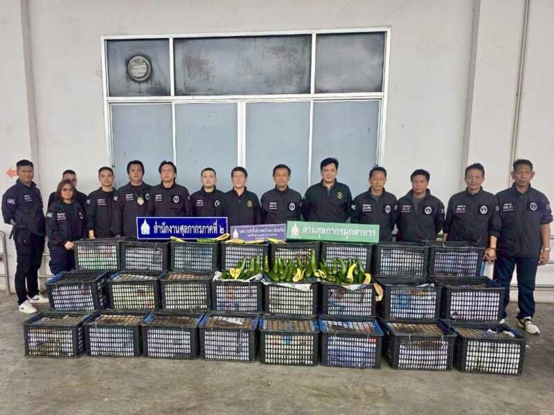 มุกดาหาร – ปราบปรามศุลกากรภาค 2 ยึดอะโวคาโดลักลอบนำเข้าจากลาว