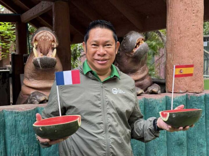 “หมูเด้ง” ฟันธง! เลือกฝรั่งเศส และอังกฤษ เข้าชิงฟุตบอลโลก 2026 รอบรองชนะเลิศ 🦛⚽