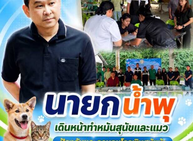 “นายก น้ำพุ” เดินหน้าทำหมันสุนัขและแมว ภายใต้โครงการป้องกันและควบคุมโรคพิษสุนัขบ้า ดูแลทั้งคนและสัตว์ สร้างชุมชนที่ปลอดภัยอย่างยั่งยืน