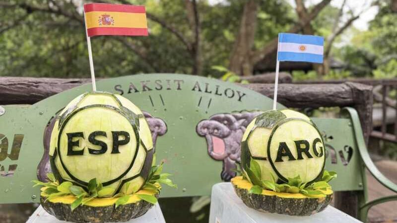 “หมูเด้ง” ขอแก้มือ! ฟันธง “อาร์เจนตินา” คว้าแชมป์ฟุตบอลโลก 2026 🦛⚽