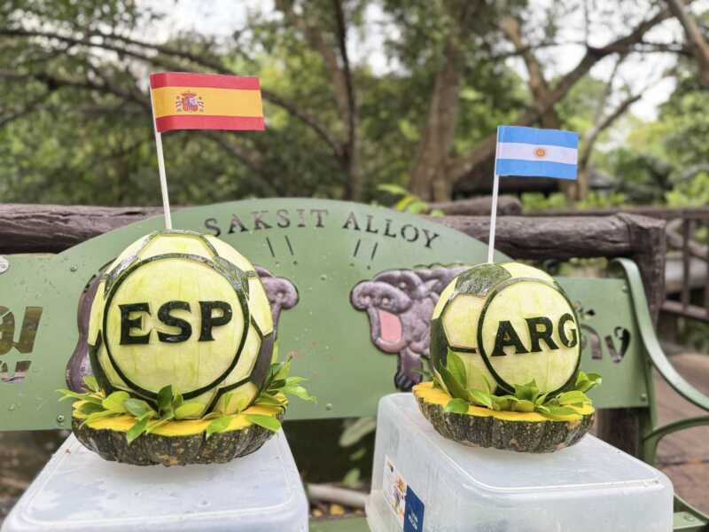 “หมูเด้ง” ขอแก้มือ! ฟันธง “อาร์เจนตินา” คว้าแชมป์ฟุตบอลโลก 2026 🦛⚽