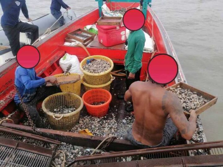 กองตรวจการประมงชลบุรีจับเรือคราดหอยผิด กม. กลางทะเล