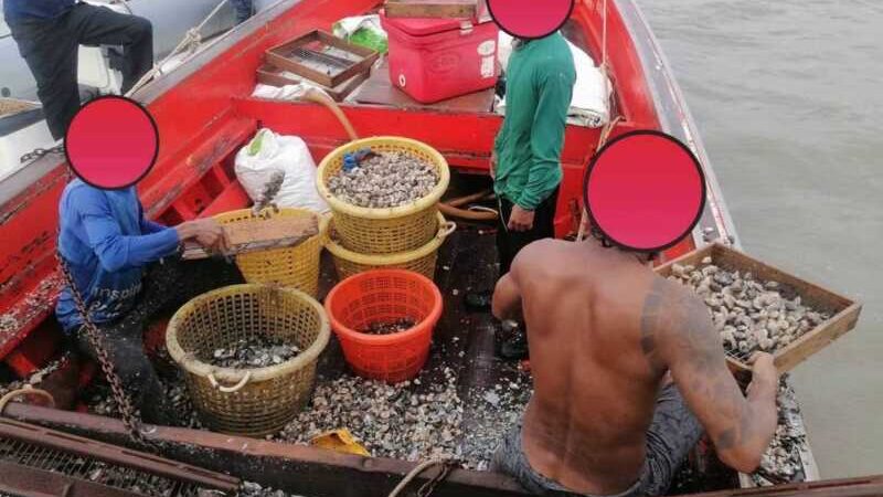 กองตรวจการประมงชลบุรีจับเรือคราดหอยผิด กม. กลางทะเล