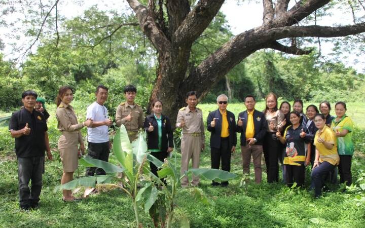 ร้อยเอ็ด – ป.ป.ช.ภาคประชาสังคมร้อยเอ็ด ลุยตรวจโครงการปลูกป่า พบ อบต.หนองแวงใช้หลักธรรมาภิบาล ต้นไม้รอด 248 ต้น เตรียมขยายปลูกอีก 3,000 ต้น