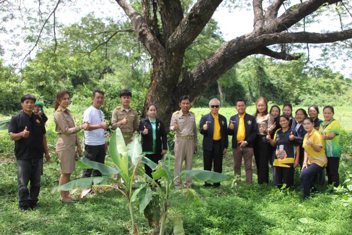 ร้อยเอ็ด – ป.ป.ช.ภาคประชาสังคมร้อยเอ็ด ลุยตรวจโครงการปลูกป่า พบ อบต.หนองแวงใช้หลักธรรมาภิบาล ต้นไม้รอด 248 ต้น เตรียมขยายปลูกอีก 3,000 ต้น