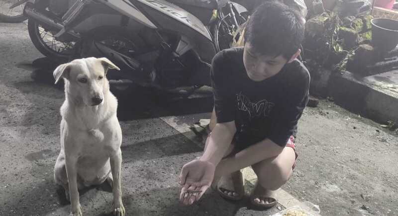 นครนายก – แม่ขาวสุนัขแสนรู้หน้าเซเว่น หิวเมื่อรัยก็คาบใบเสร็จมาแรกข้าวกิน