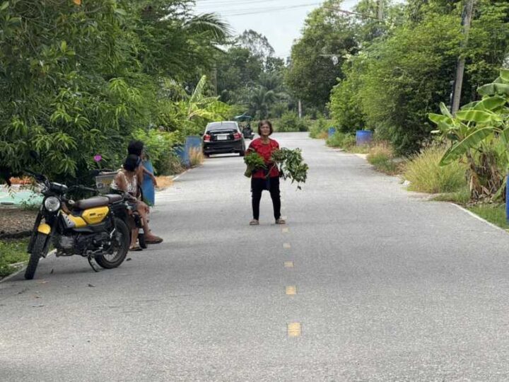 ปทุมธานี – ชาวบ้านร้องสื่อชายติดยาตระเวนลักทรัพย์แถมแม่คลั่งถือมีดอีโต้ขู่