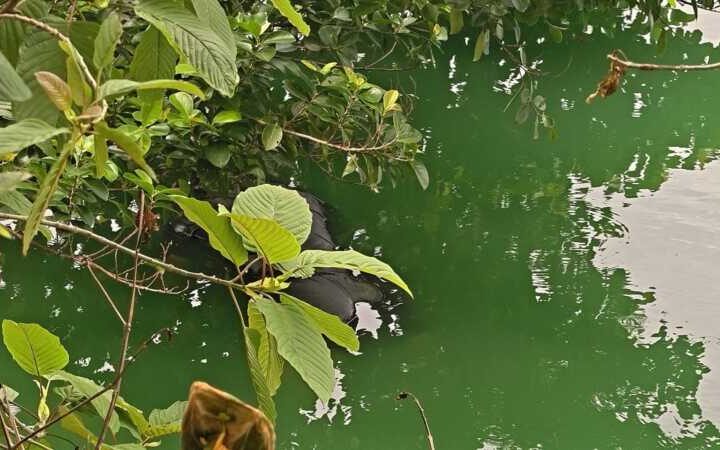 ปทุมธานี – สลดพบศพนักศึกษาฝึกงานสาวลอยอืดกลางบ่อบำบัดในนวนคร