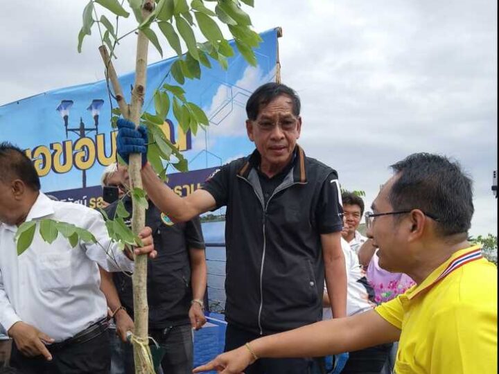 ปทุมธานี – นายกแจ๊สนำชาวบ้านปลูกต้นชัยพฤกษ์ เฉลิมพระเกียรติ ชูเป็นแลนด์มาร์คใหม่คลองหลวง