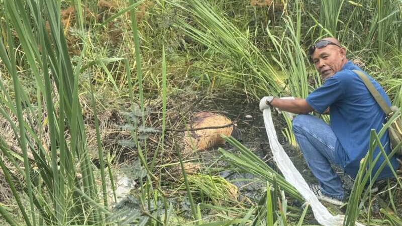 ปทุมธานี – ผงะพบศพชายนิรนามหมกป่าหลังหมู่บ้าน