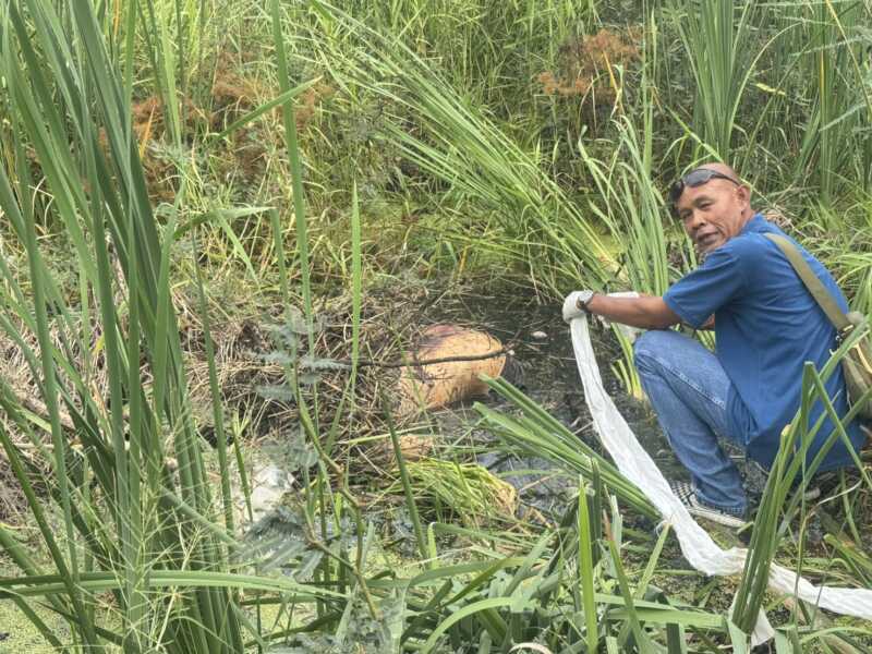 ปทุมธานี – ผงะพบศพชายนิรนามหมกป่าหลังหมู่บ้าน
