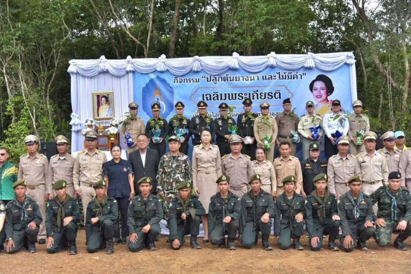ร่วมใจสร้างพื้นที่สีเขียว คืนความสมบูรณ์ให้ผืนป่าไทย