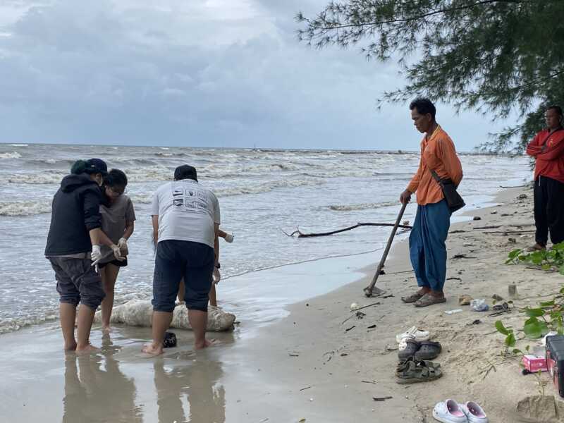 ตราด พบซากโลมาอิรวดีเน่าเกยตื้นชายหาดบ้านตาหนึก จ.ตราด สังเวยอ่าวตราดเป็นตัวที่ 10 ของปี