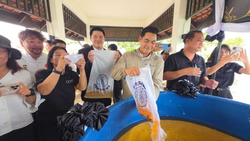 สำนักงานประมงจังหวัดชลบุรี เทศบาลเมืองศรีราชา และจังหวัดชลบุรี ร่วมปล่อยพันธุ์สัตว์น้ำ เนื่องในวันเฉลิมพระชนมพรรษา สมเด็จพระนางเจ้าสิริกิติ์ พระบรมราชินีนาถ พระบรมราชชนนีพันปีหลวง