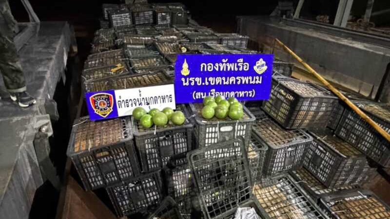 มุกดาหาร นรข จับกุม 3 ชาวลาว ลักลอบขนอะโวคาโด 6 ตันนำเข้าจาก สปป.ลาว