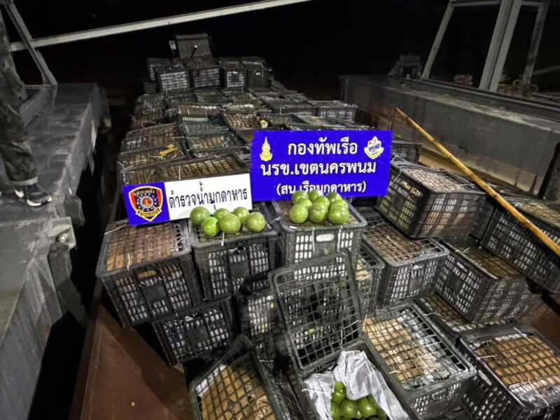 มุกดาหาร นรข จับกุม 3 ชาวลาว ลักลอบขนอะโวคาโด 6 ตันนำเข้าจาก สปป.ลาว