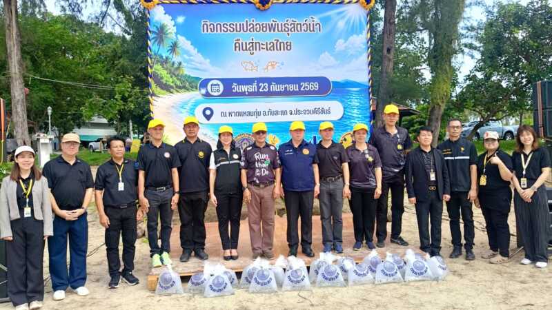 ประจวบคีรีขันธ์ _กฟผ.ทับสะแก ผนึกกำลังทุกภาคส่วน จัดกิจกรรมปล่อยพันธุ์สัตว์น้ำ 251,500 ตัว คืนสู่ธรรมชาติ เพิ่มความอุดมสมบูรณ์ทะเลไทย