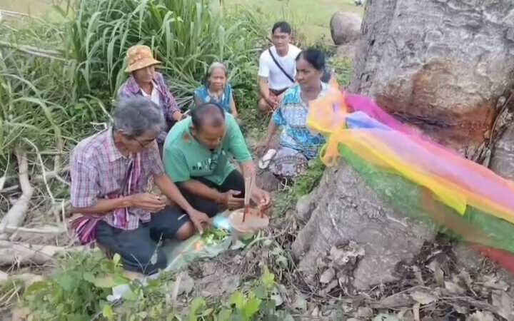 ร้อยเอ็ด – ฮือฮาแห่ขอเลขเด็ดต้นลูกหยีพายุพัดโค่นล้มแล้วหลายวันผ่านไปกลับลุกขึ้นตั้งเองอีกครั้ง