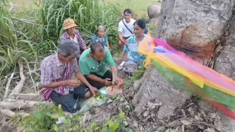 ร้อยเอ็ด – ฮือฮาแห่ขอเลขเด็ดต้นลูกหยีพายุพัดโค่นล้มแล้วหลายวันผ่านไปกลับลุกขึ้นตั้งเองอีกครั้ง