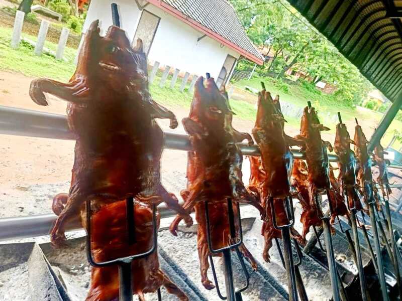มุกดาหาร – กรมปศุสัตว์ตามรอย หมูหันแก่งกะเบา สืบค้นภูมิปัญญาสู่แนวทางพัฒนาสินค้า GI