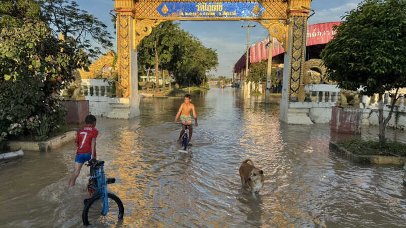ปทุมธานี – วัดไก่เตี้ยอ่วมน้ำทะลักคุ้งเจ้าพระยาท่วม70 ซม.พระ-เณรพายโฟมเร่งอพยพวัวควายหนีตายขึ้นโบสถ์