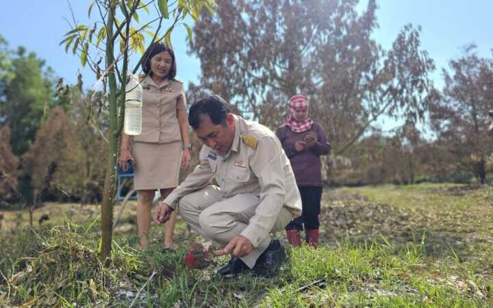 เกษตรจังหวัดจันทบุรีลงพื้นที่เยี่ยมสวนทุเรียนเสียหายจากอุทกภัย พร้อมชี้แจงหลักเกณฑ์ช่วยเหลือปี 2569 ทุเรียนเสียหายสิ้นเชิงช่วยไร่ละ 6,800 บาท ส่วนต้นที่ยังฟื้นฟูได้ช่วยไร่ละ 3,400 บาท ตามเงื่อนไขที่กำหนด
