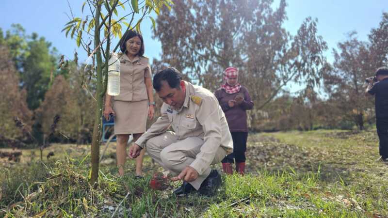 เกษตรจังหวัดจันทบุรีลงพื้นที่เยี่ยมสวนทุเรียนเสียหายจากอุทกภัย พร้อมชี้แจงหลักเกณฑ์ช่วยเหลือปี 2569 ทุเรียนเสียหายสิ้นเชิงช่วยไร่ละ 6,800 บาท ส่วนต้นที่ยังฟื้นฟูได้ช่วยไร่ละ 3,400 บาท ตามเงื่อนไขที่กำหนด