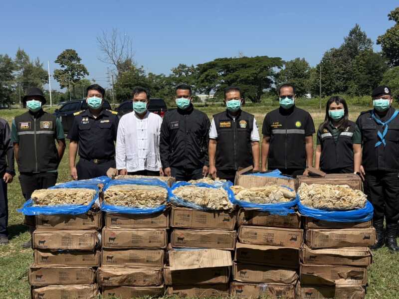 มุกดหาร กระทรวงเกษตรและสหกรณ์ บูรณาการทำลายซากสัตว์ของกลาง 860 กิโลกรัม